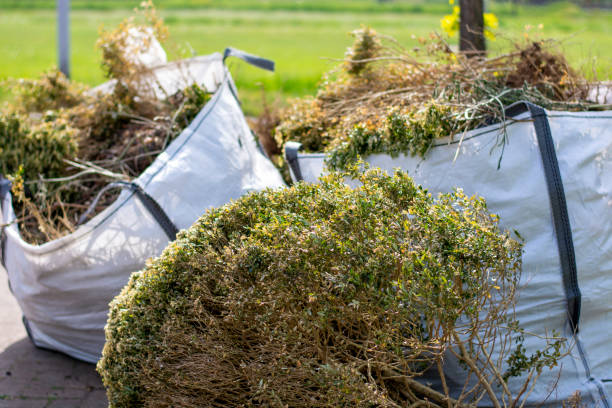 Professional Junk Removal Services in Rainbow, CA